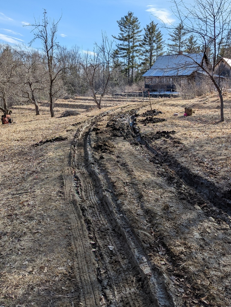 No description provided for: /2025/04-06/0410-will-mud-tracks/photo01.html