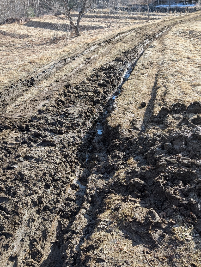 No description provided for: /2025/04-06/0410-will-mud-tracks/photo03.html