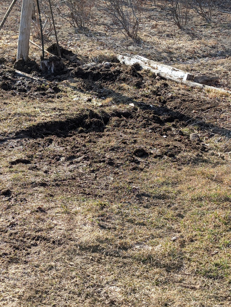 No description provided for: /2025/04-06/0410-will-mud-tracks/photo04.html