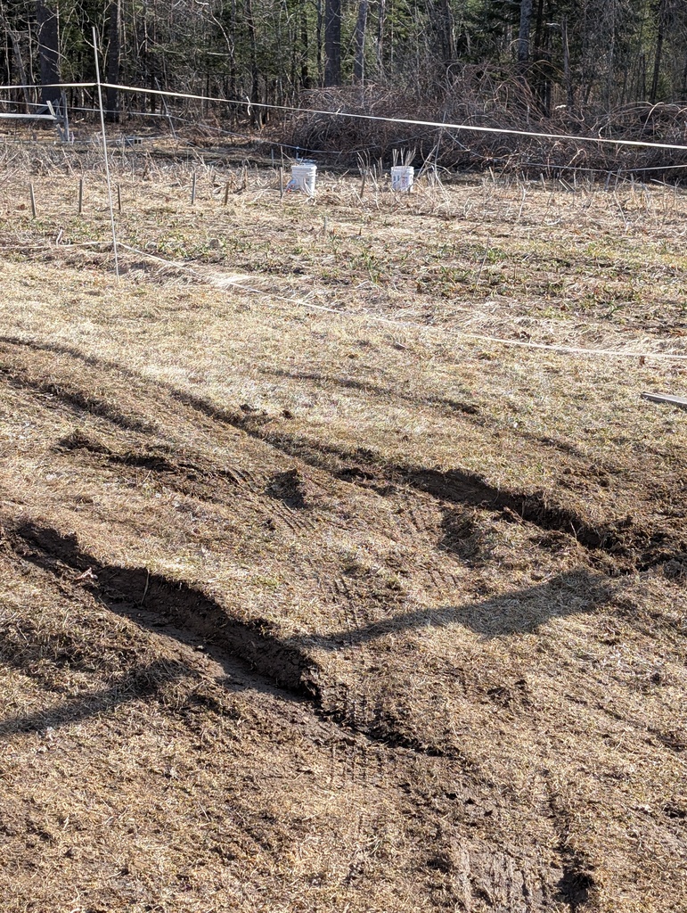 No description provided for: /2025/04-06/0410-will-mud-tracks/photo05.html