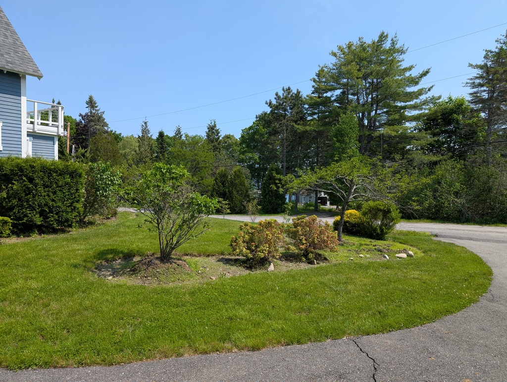 No description provided for: /2025/04-06/0608-landscape/photo01.html