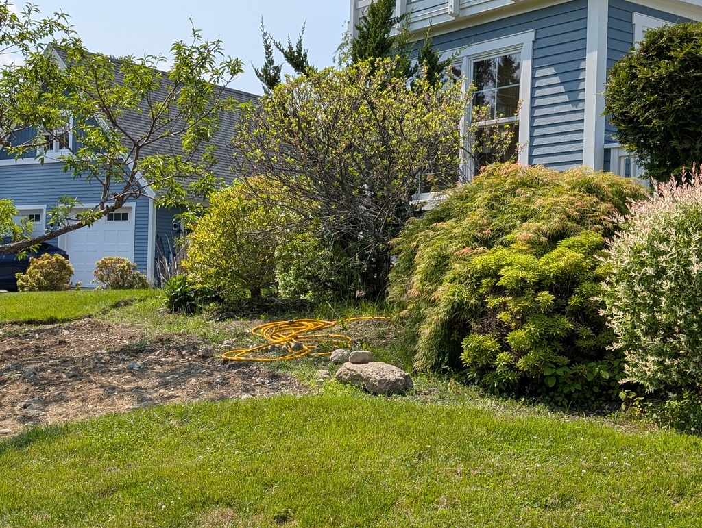 No description provided for: /2025/04-06/0608-landscape/photo05.html