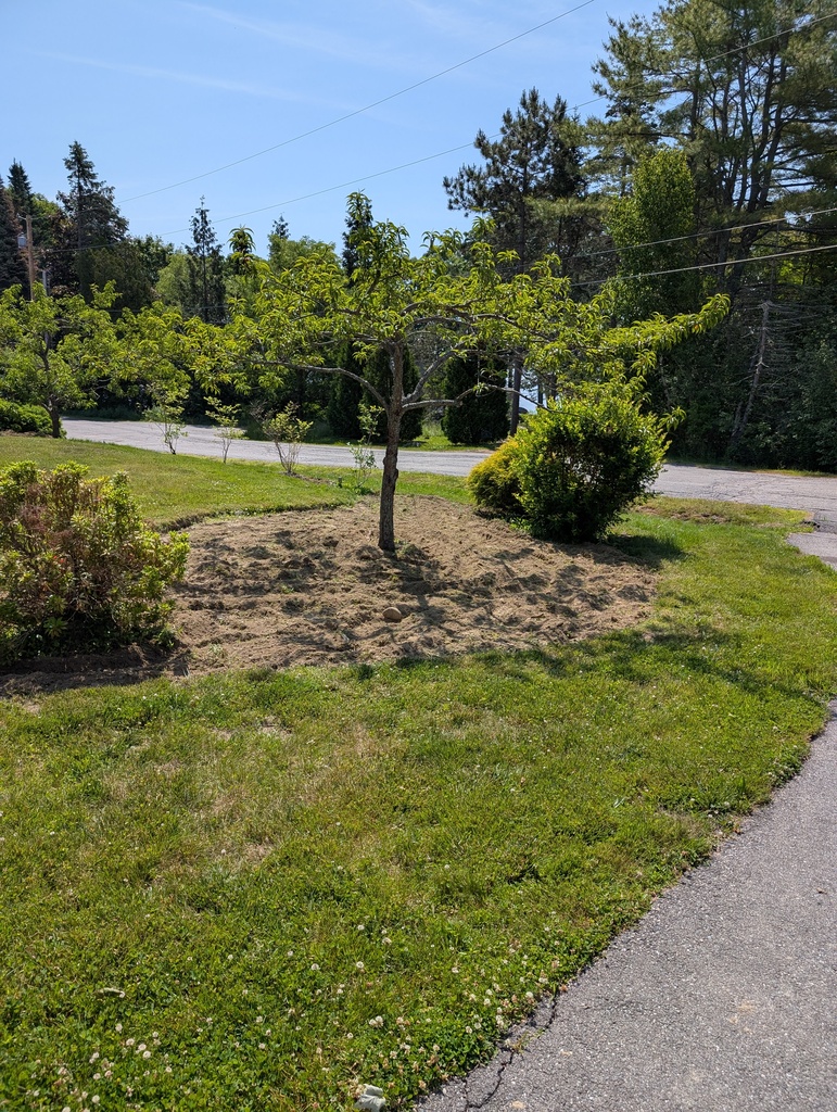 No description provided for: /2025/04-06/0623-power-weeding/photo02.html