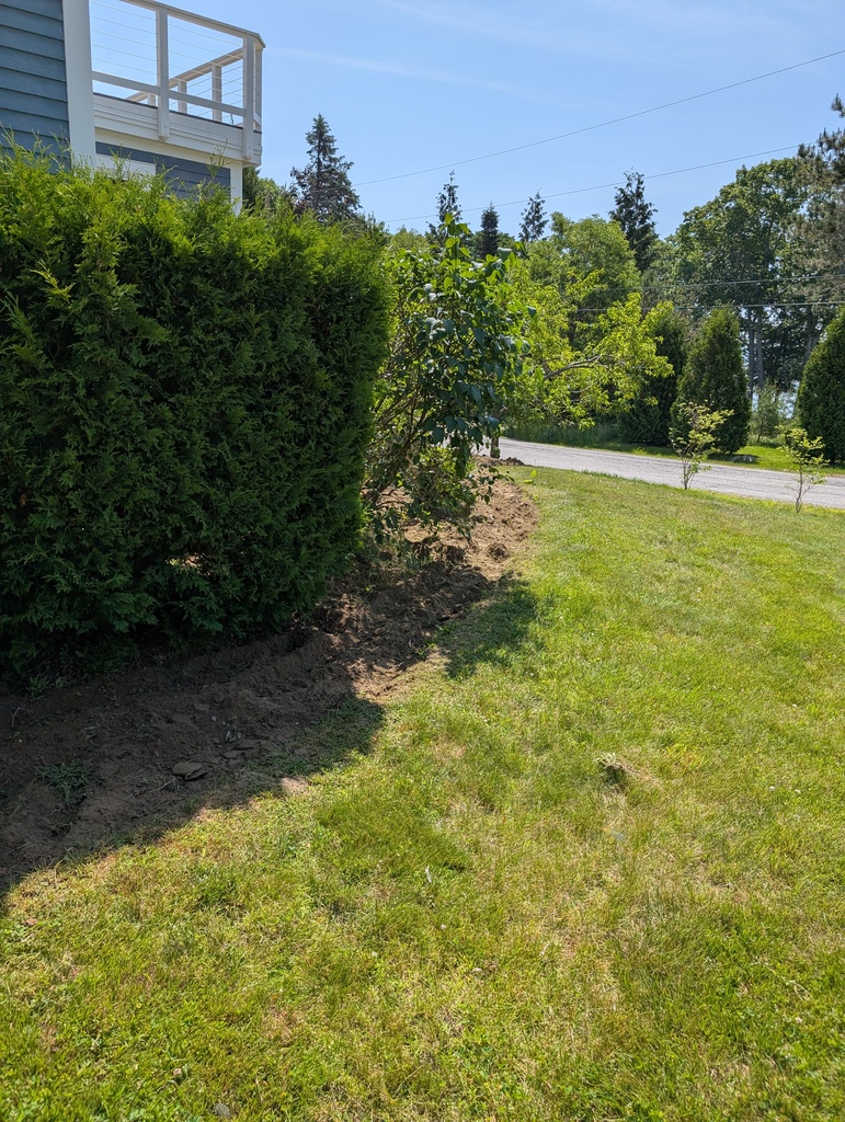 No description provided for: /2025/04-06/0623-power-weeding/photo03.html