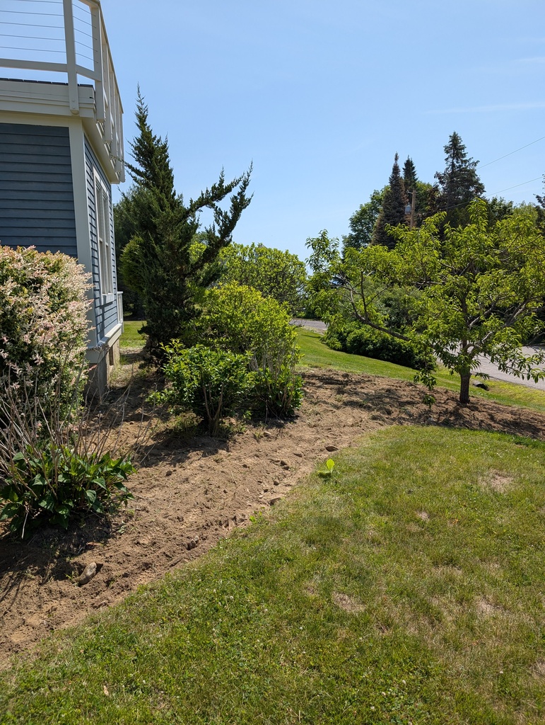 No description provided for: /2025/04-06/0623-power-weeding/photo04.html