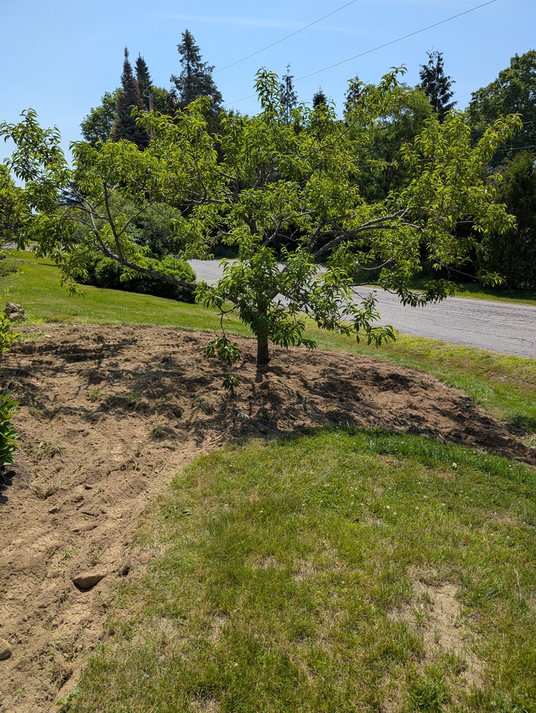 No description provided for: /2025/04-06/0623-power-weeding/photo05.html