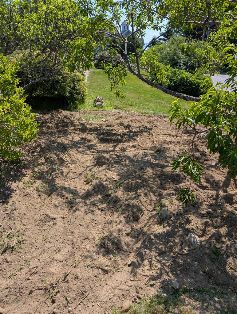 No description provided for: /2025/04-06/0623-power-weeding/photo06.html