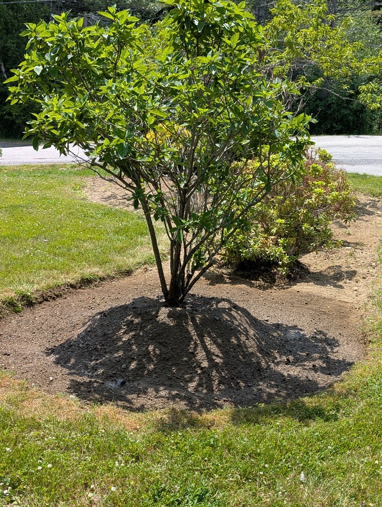 No description provided for: /2025/04-06/0623-power-weeding/photo07.html