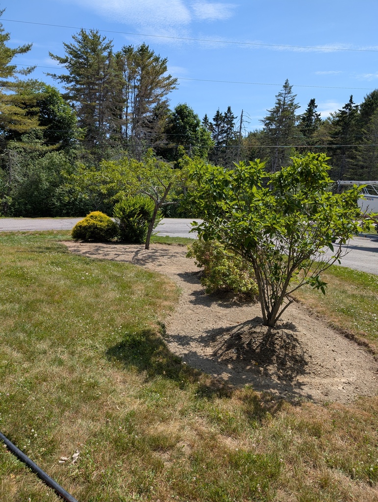 No description provided for: /2025/04-06/0627-more-weeding/photo01.html