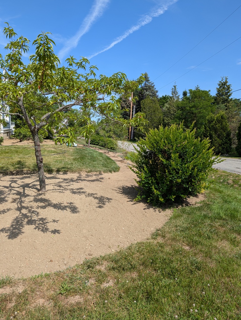 No description provided for: /2025/04-06/0627-more-weeding/photo04.html