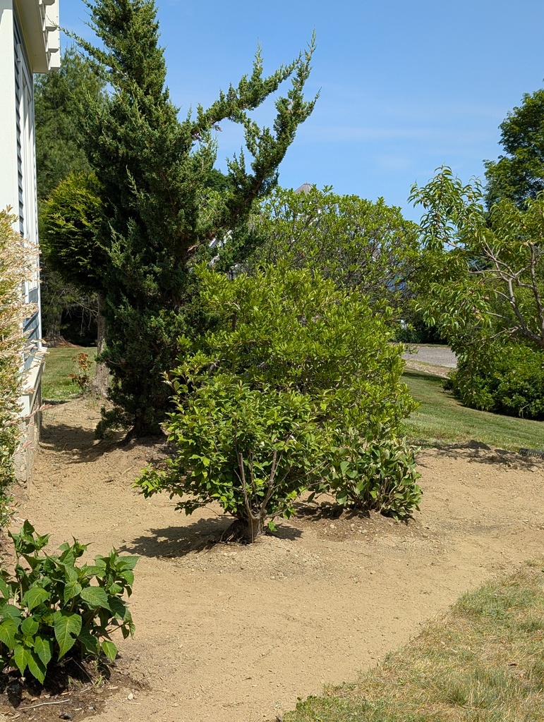 No description provided for: /2025/04-06/0627-more-weeding/photo08.html