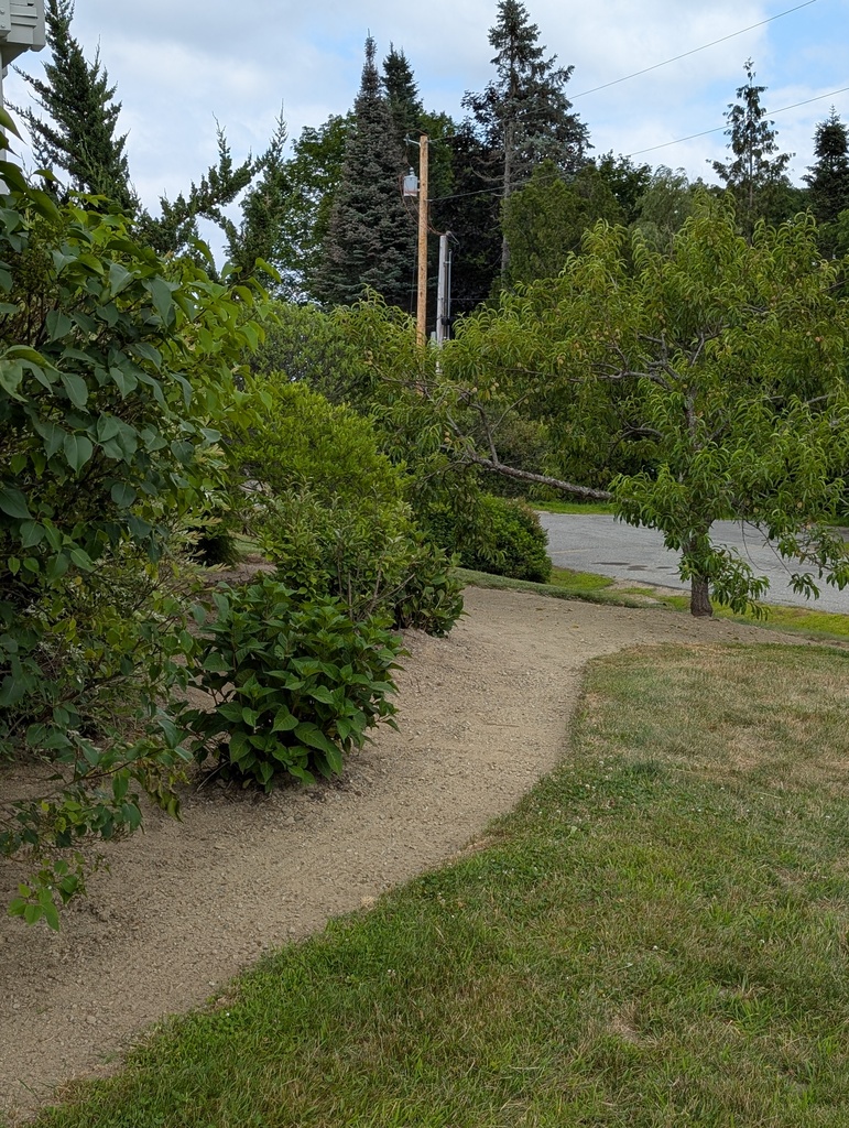 No description provided for: /2025/07-09/0720-weeding-again/photo02.html