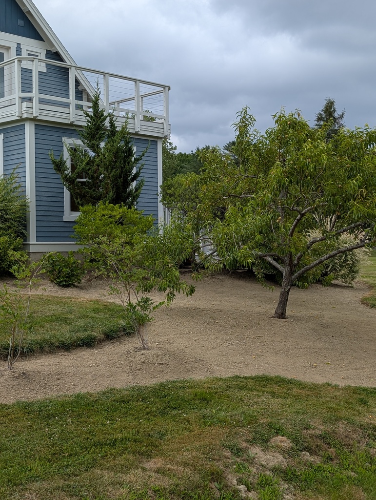 No description provided for: /2025/07-09/0720-weeding-again/photo09.html