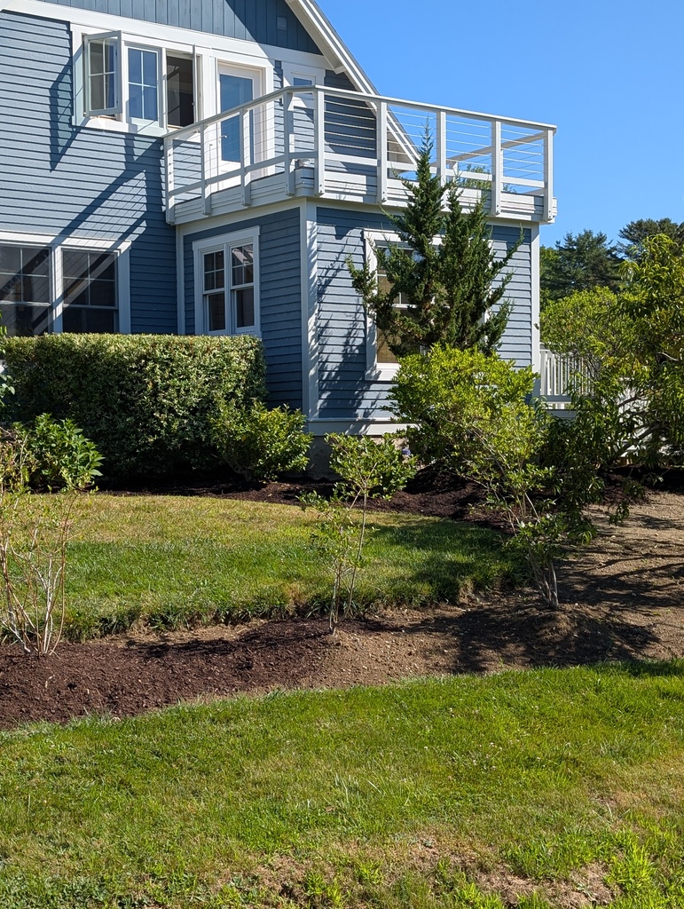 No description provided for: /2025/07-09/0801-partial-mulch/photo02.html