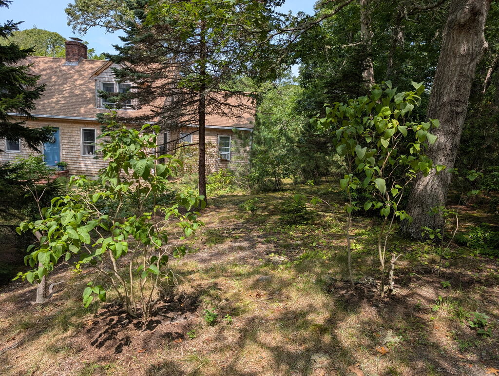 No description provided for: /2025/07-09/0811-tara-lilac/photo01.html