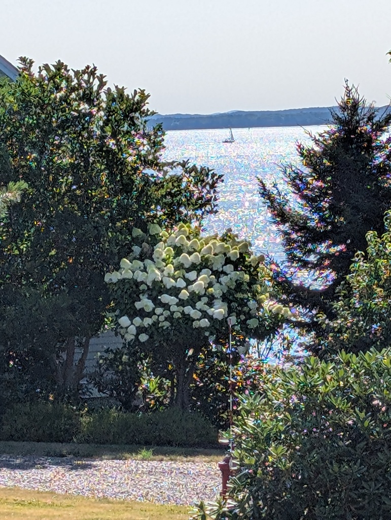 No description provided for: /2025/07-09/0815-passing-sails/photo02.html