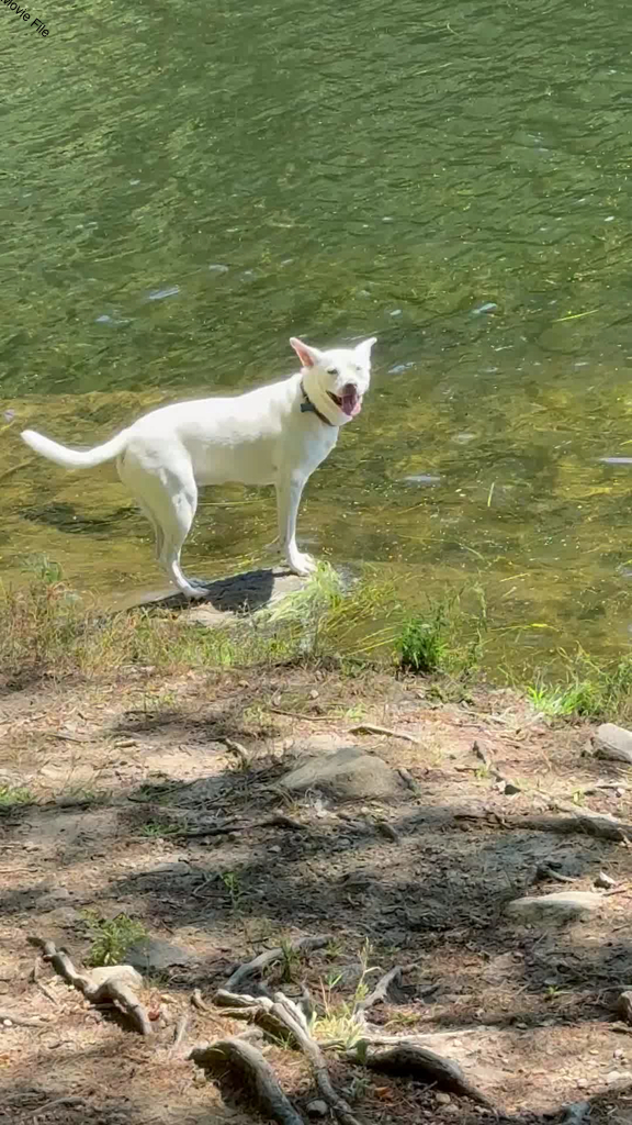 No description provided for: /2025/07-09/0824-lily/movie01.html