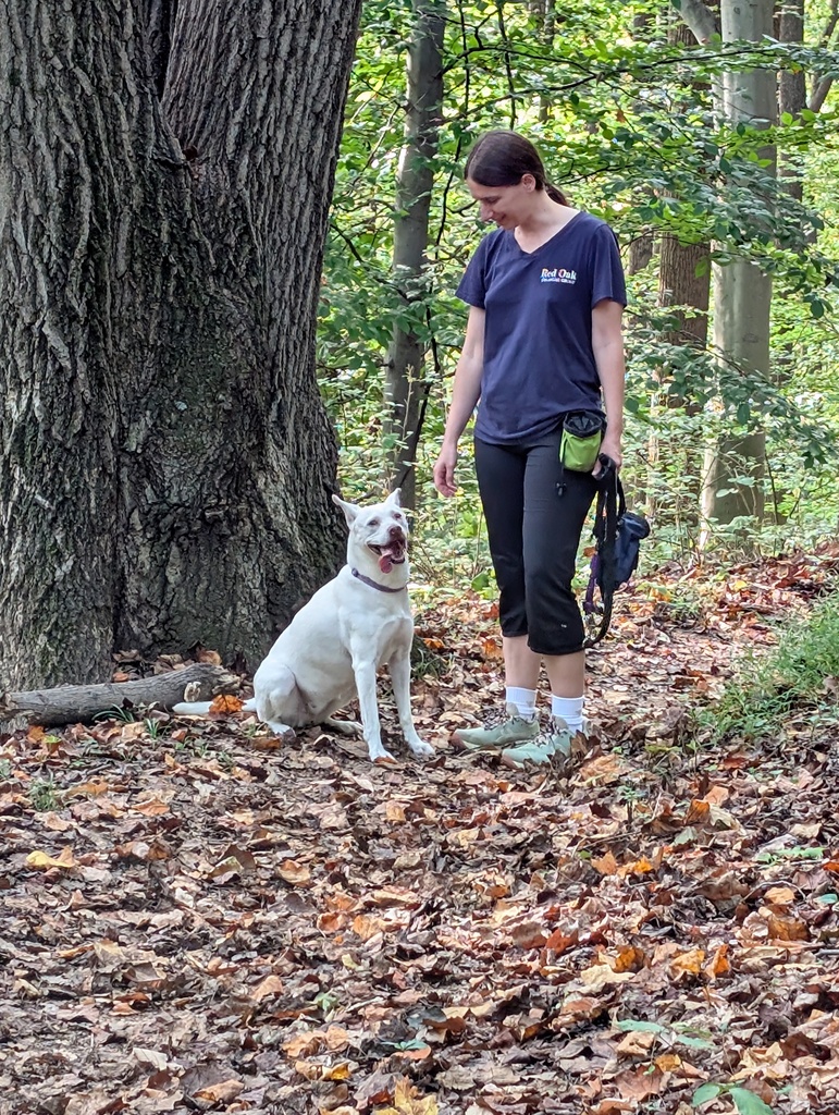 No description provided for: /2025/07-09/0923-loch-raven-hike/photo01.html