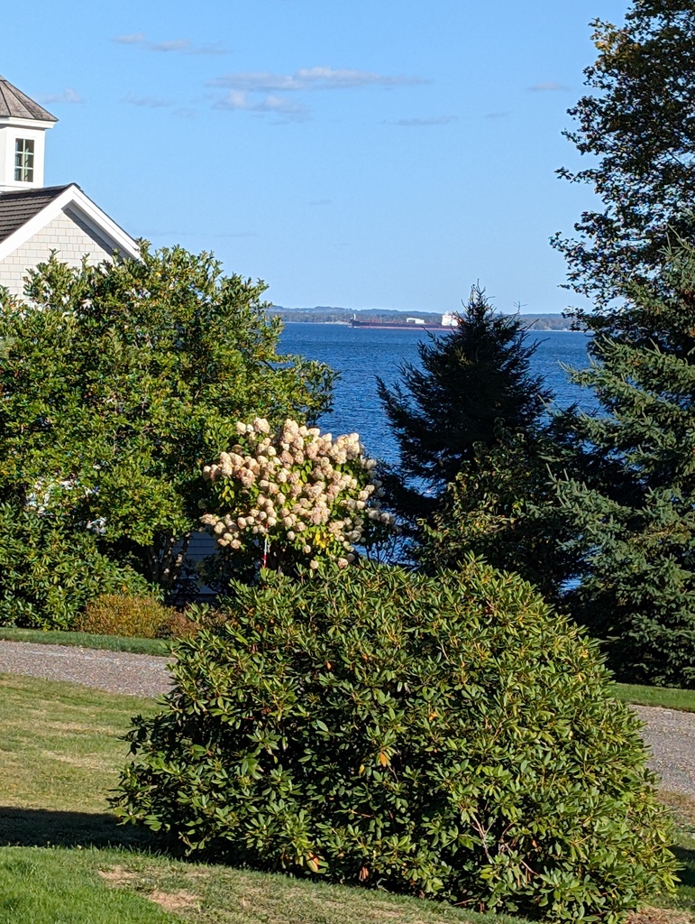 No description provided for: /2025/07-09/0930-huge-ship/photo01.html