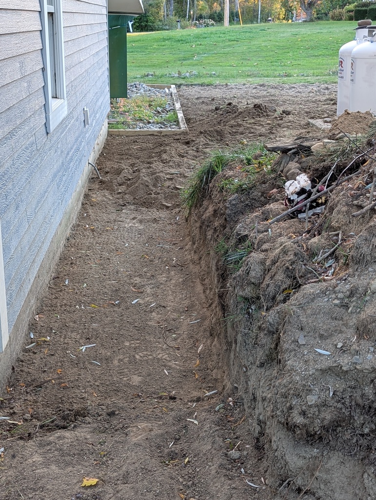 No description provided for: /2025/10-12/1001-behind-garage/photo01.html