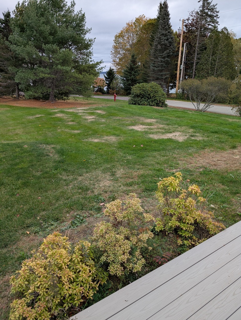 No description provided for: /2025/10-12/1016-hot-tub-access/photo02.html