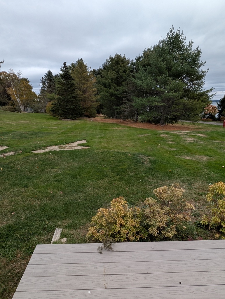 No description provided for: /2025/10-12/1016-hot-tub-access/photo03.html