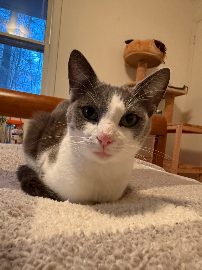 No description provided for: /2025/10-12/1111-thimble/photo01.html