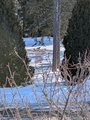 Image file: photo01.jpg