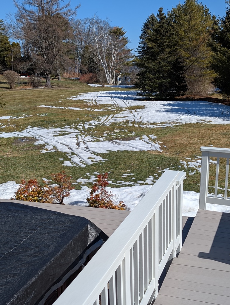 No description provided for: /2026/0310-yard-ski-tracks/photo02.html